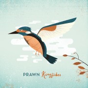 PRAWN KINGFISHER