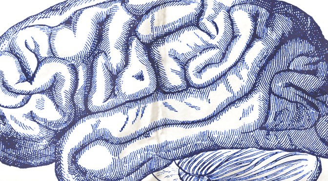 VICTORIA HUME / PAUL LITTLEWOOD (HIGHLIGHTS)